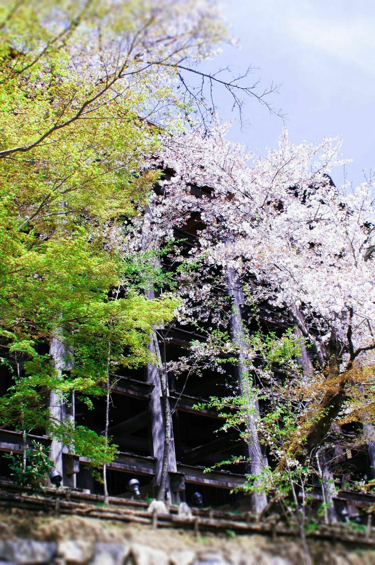Stay Sakura Kyoto Machiya Akari Extérieur photo